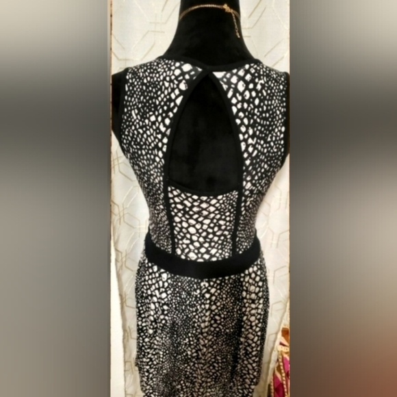 TART DRESS - Picture 3 of 7